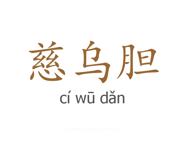慈乌胆