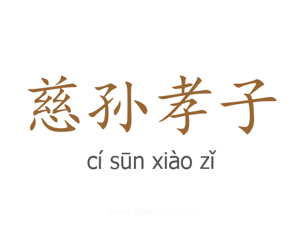 慈孙孝子
