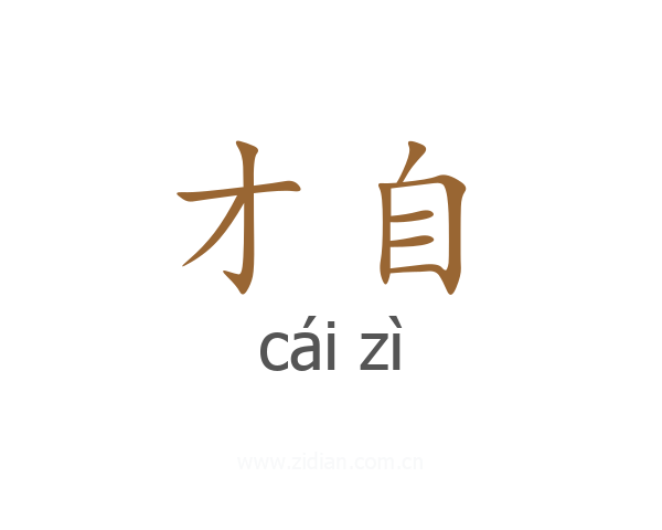 才自