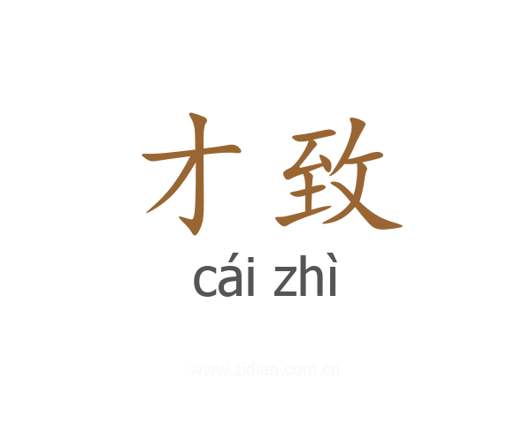 才致