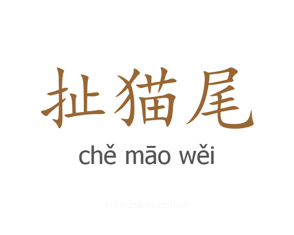 扯猫尾