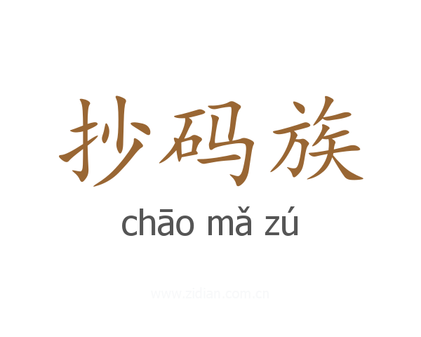 抄码族