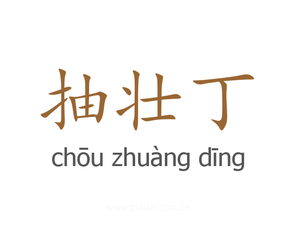 抽壮丁