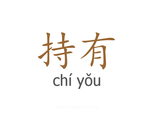持有