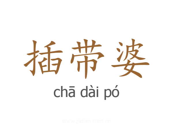 插带婆