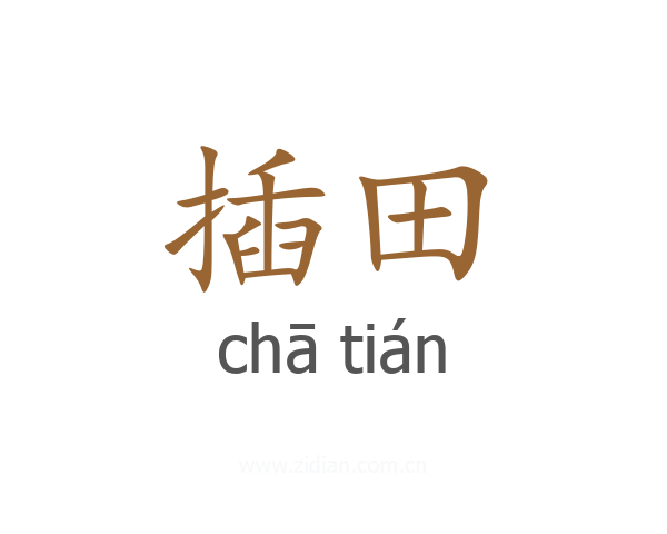 插田