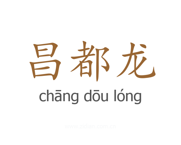 昌都龙