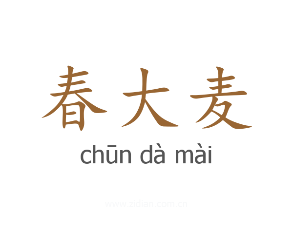 春大麦