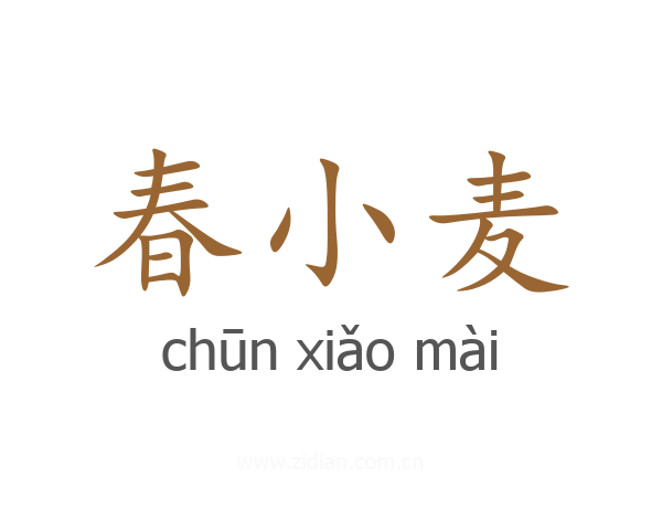 春小麦