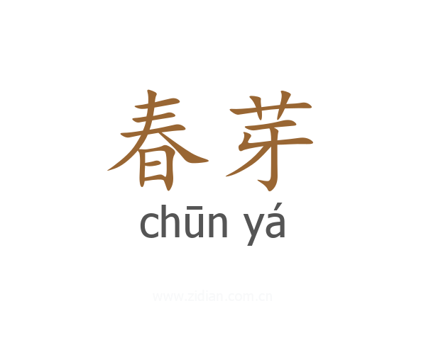 春芽