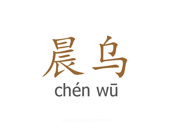 晨乌