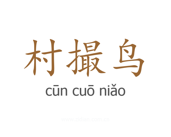 村撮鸟