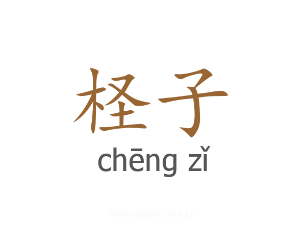 柽子