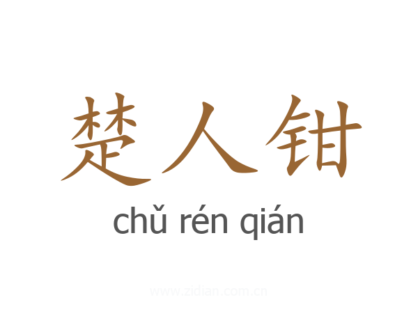 楚人钳