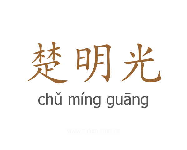 楚明光