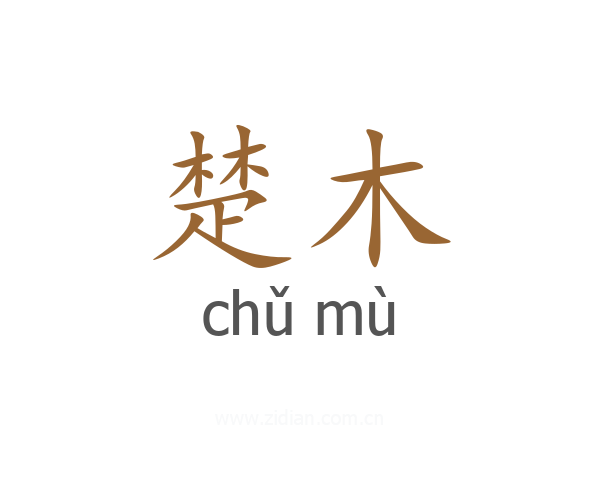 楚木