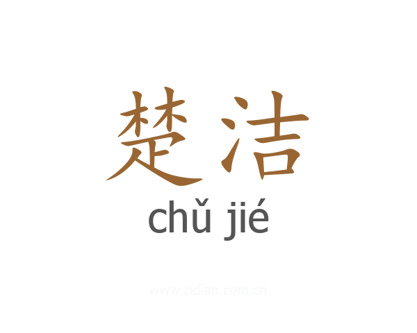 楚洁