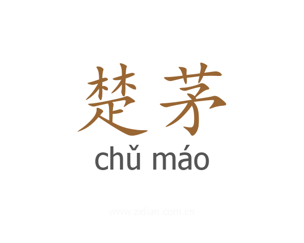 楚茅
