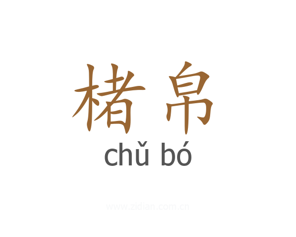 楮帛