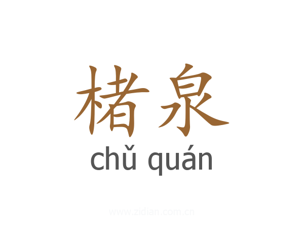 楮泉