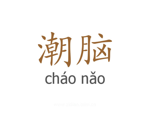 潮脑