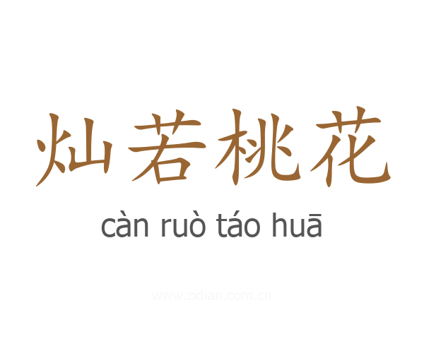 灿若桃花