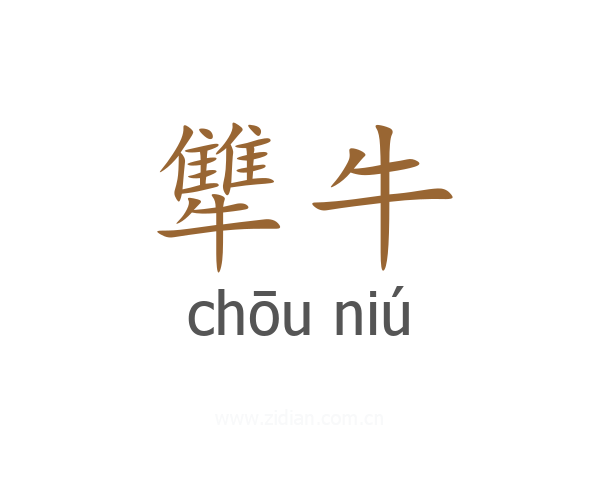 犨牛