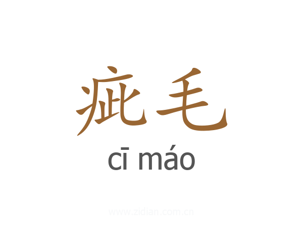 疵毛