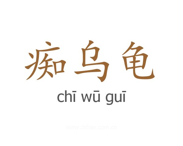 痴乌龟