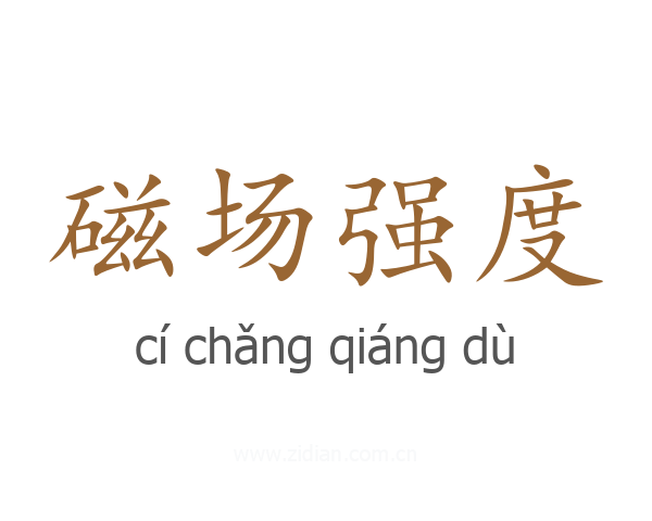 磁场强度