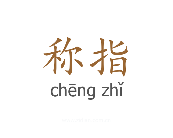称指