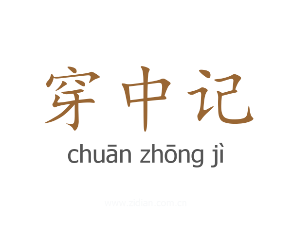 穿中记
