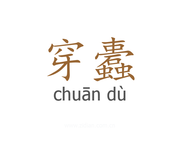 穿蠹