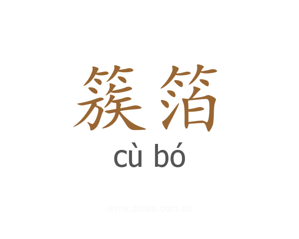 簇箔