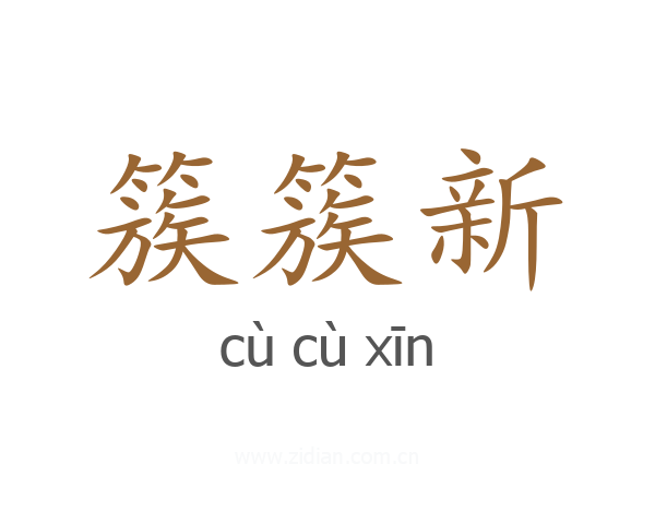 簇簇新