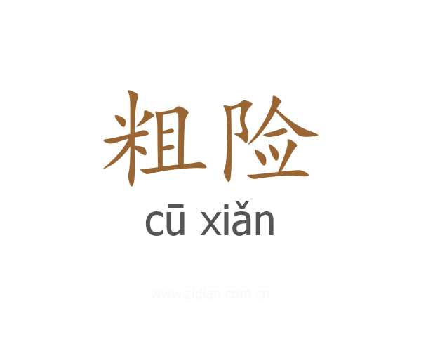 粗险