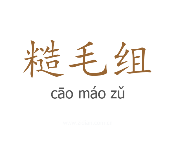 糙毛组