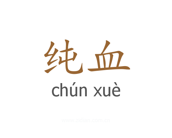 纯血