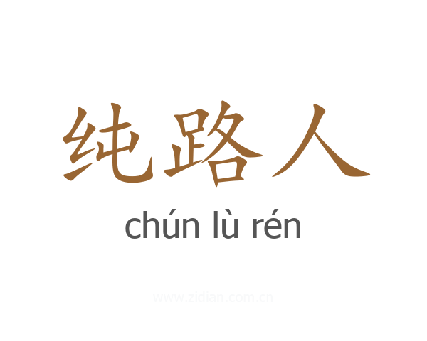 纯路人