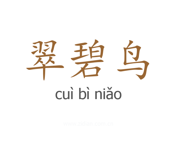 翠碧鸟