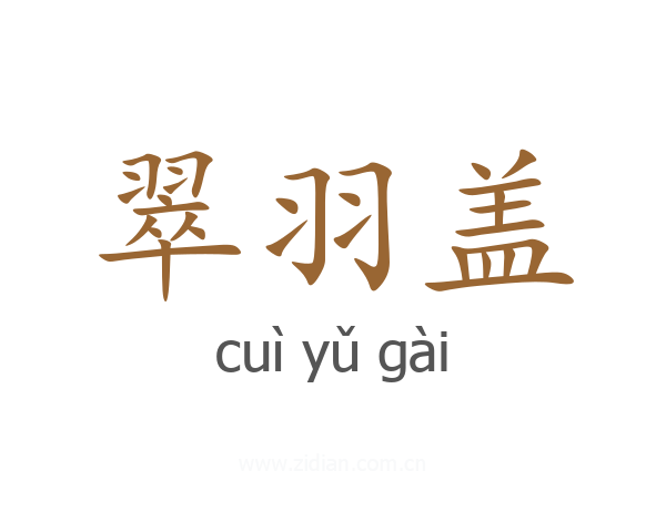 翠羽盖