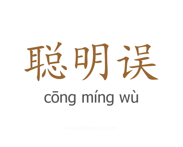 聪明误