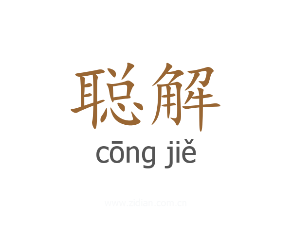 聪解
