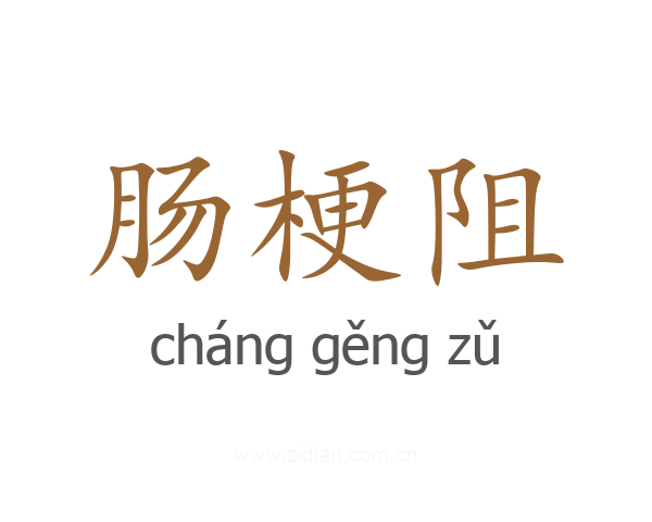肠梗阻