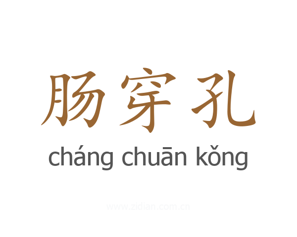 肠穿孔