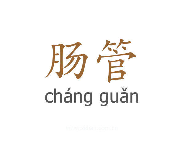 肠管