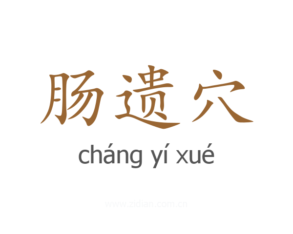 肠遗穴