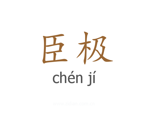 臣极
