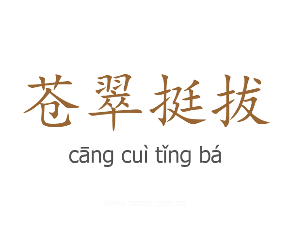 苍翠挺拔