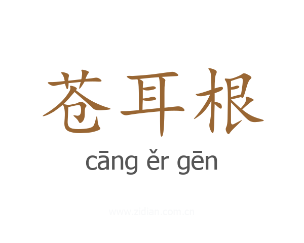 苍耳根